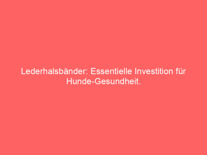 Lederhalsbänder: Essentielle Investition für Hunde-Gesundheit.