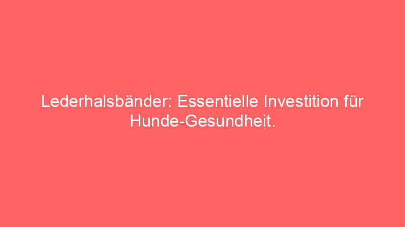 Lederhalsbänder: Essentielle Investition für Hunde-Gesundheit.